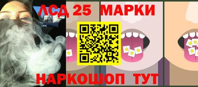 шишки Кандалакша