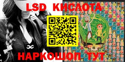 шишки Кандалакша