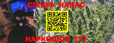 шишки Кандалакша