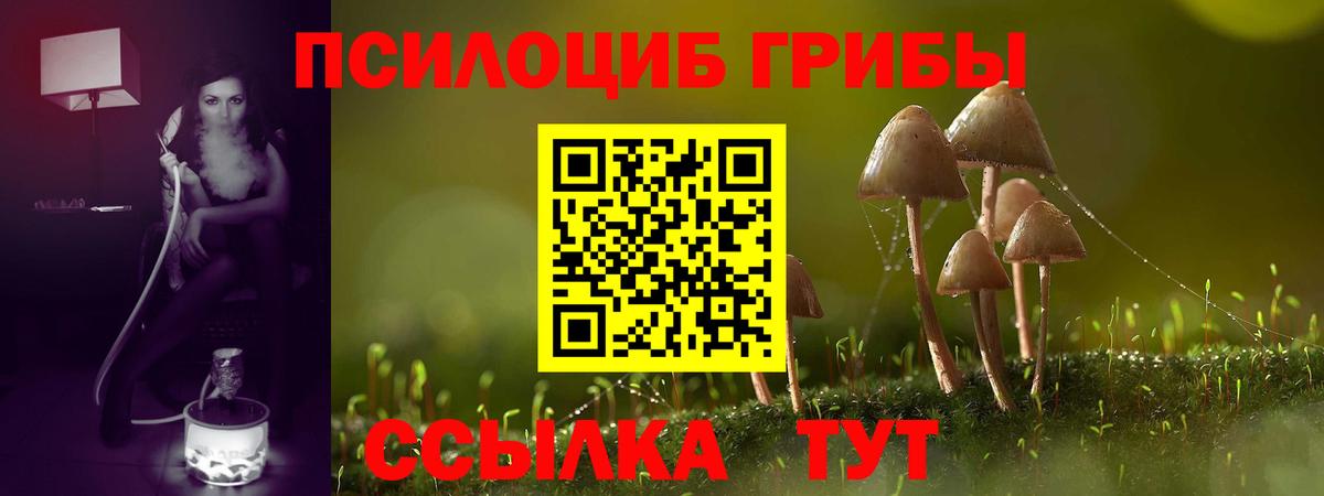Галлюциногенные грибы мицелий  Вход с VPN  Лесозаводск 